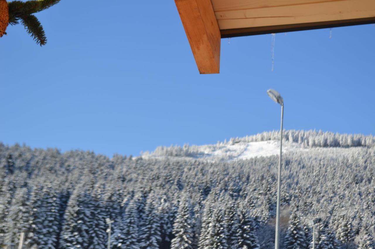 Bed and Breakfast Zlote Gory - Czarna Gora Heudorf Exterior foto